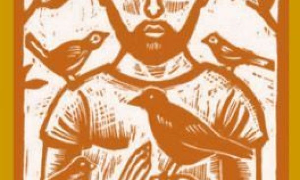 Día Mundial de la Justicia Social (20 de febrero)