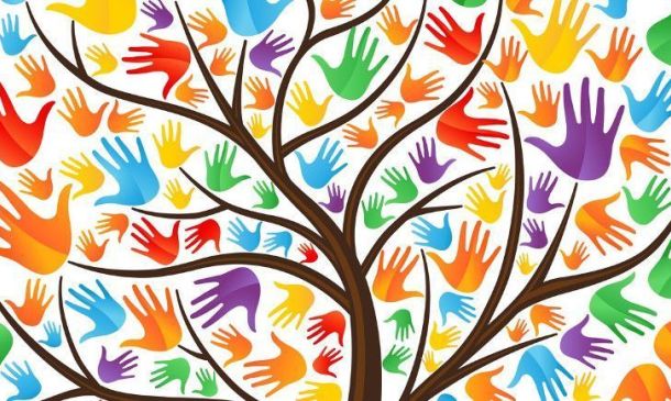 11 Un Capítulo para la Vida - ¿Diversidad?