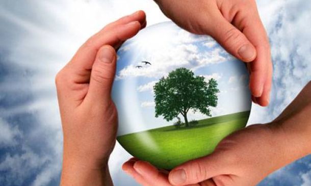 Jornada mundial de oración por el cuidado de la creación